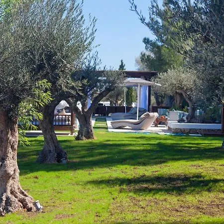 Ribes Ibiza Villa BALEARIC ISLANDS
