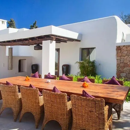 Ribes Ibiza *